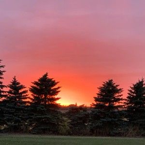 Meet your Posher, Ricki